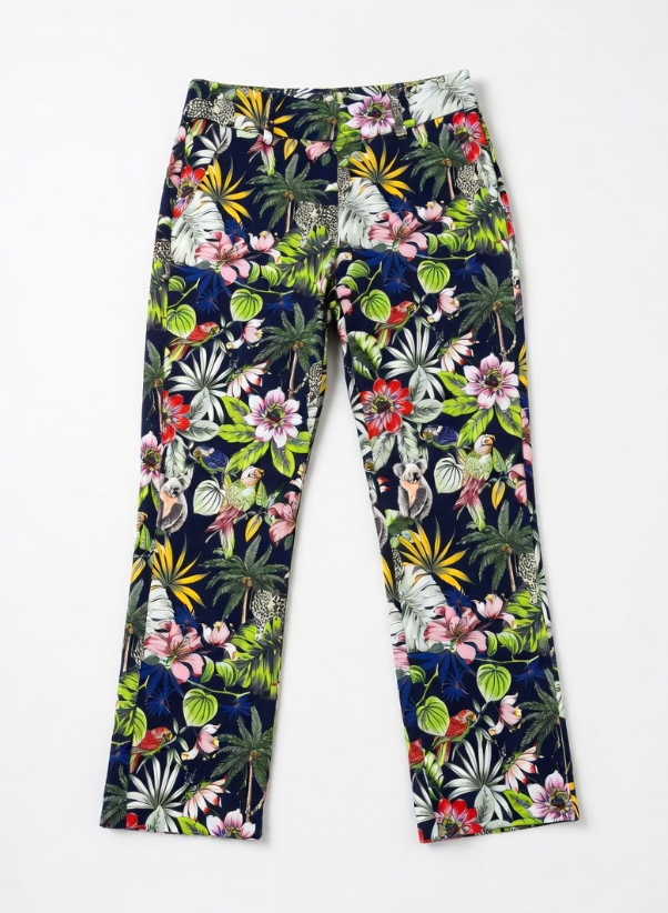 Pantalon Raffaello Rossi