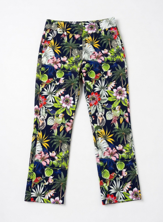 Pantalon Raffaello Rossi